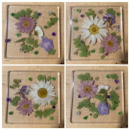 Kaloke's Farm Resin Coasters Set of 4