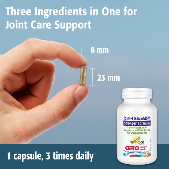 New Roots Joint-Tissu&MSM 90 Vegetarian Capsules