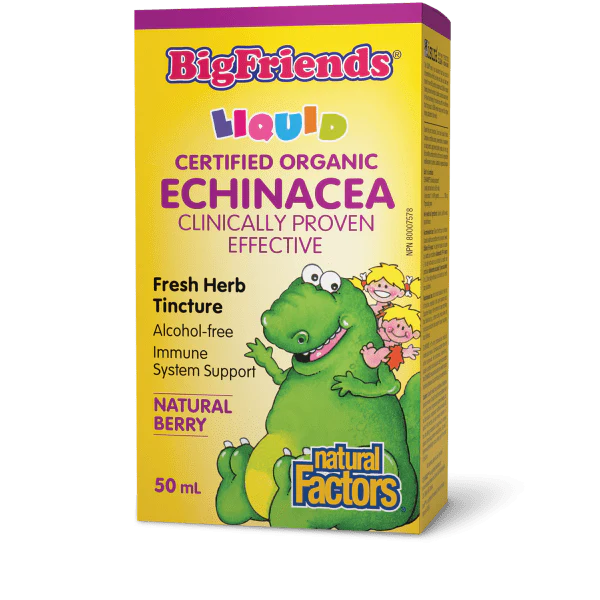 Natural Factors Big Friends Echinacea Fresh Herb Tincture 50ml