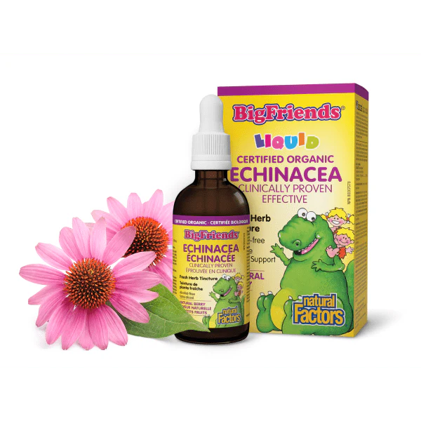 Natural Factors Big Friends Echinacea Fresh Herb Tincture 50ml