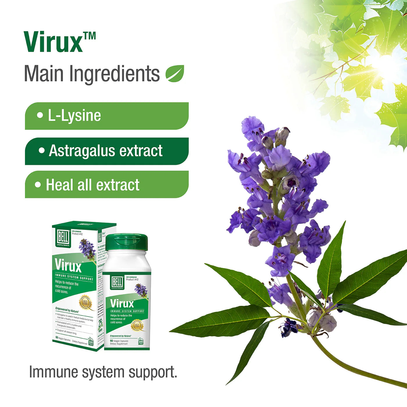 Bell Lifestyle Products #42 Virux 60 Capsules