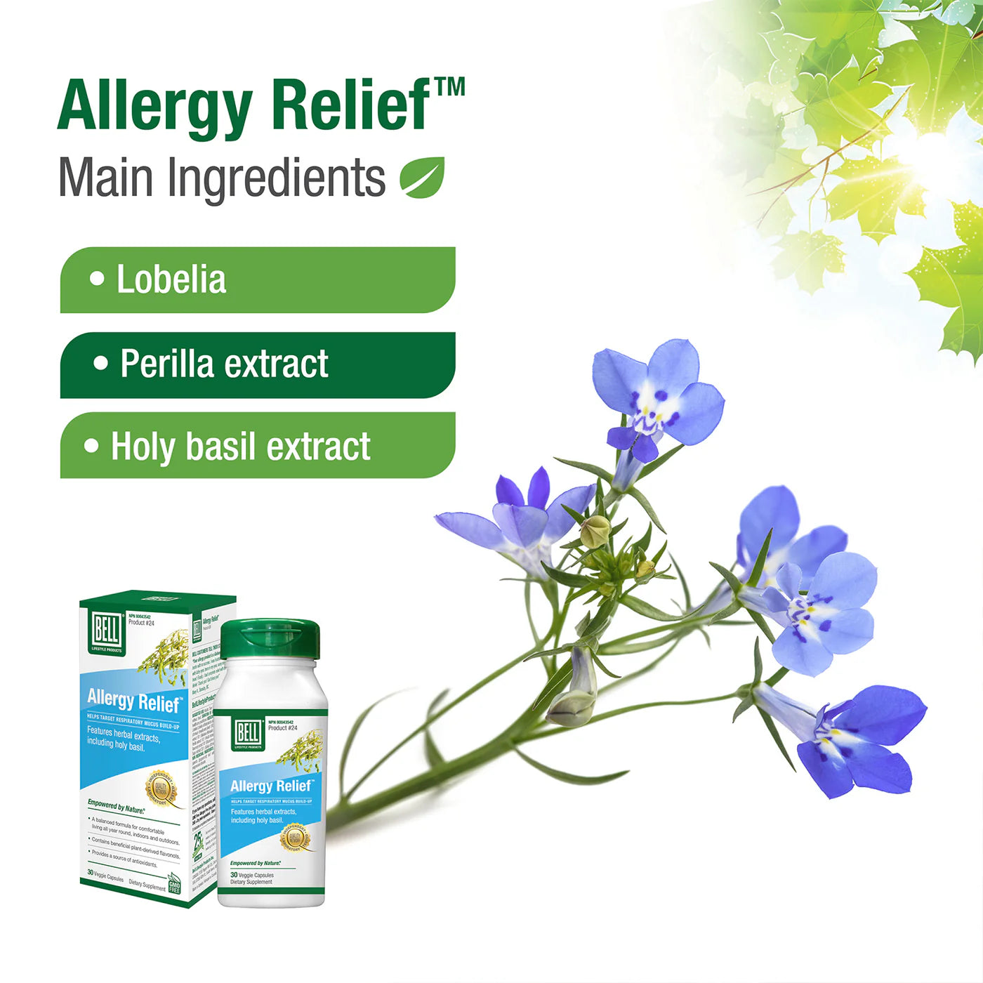 Bell Lifestyle  #24 Allergy Relief 30 Capsules