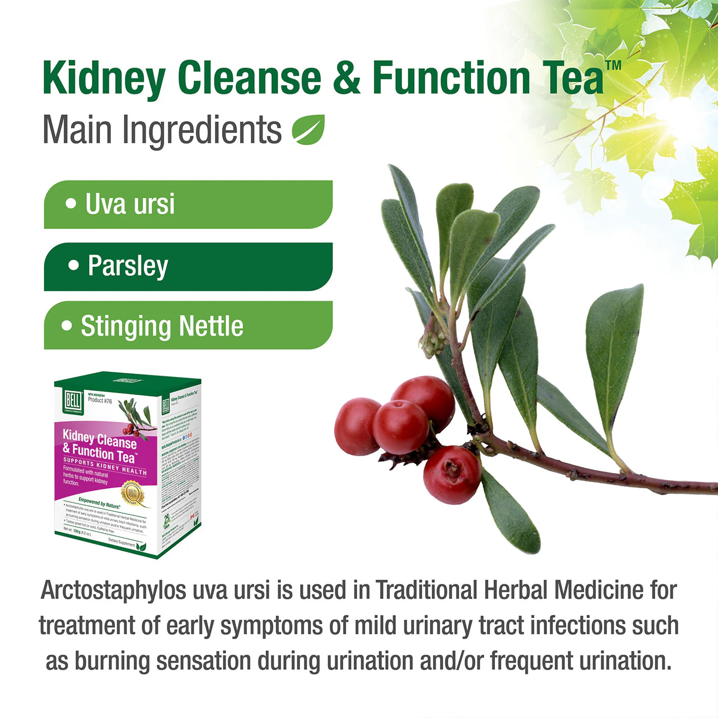 Bell Lifestyle Products #76 Kidney Cleanse & Function Tea 120g