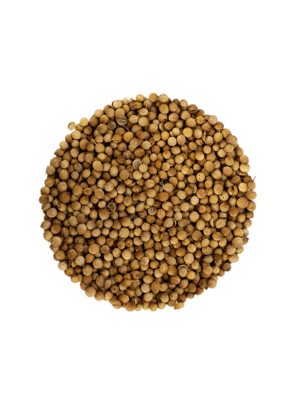 Celebration Herbals Coriander Seed Whole Organic 30g