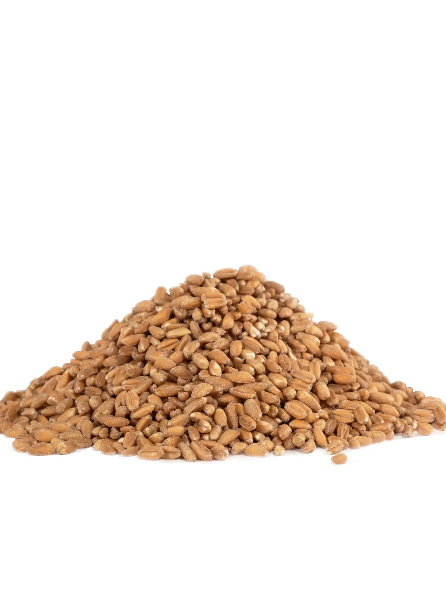 Bob’s Red Mill Organic Farro 680g