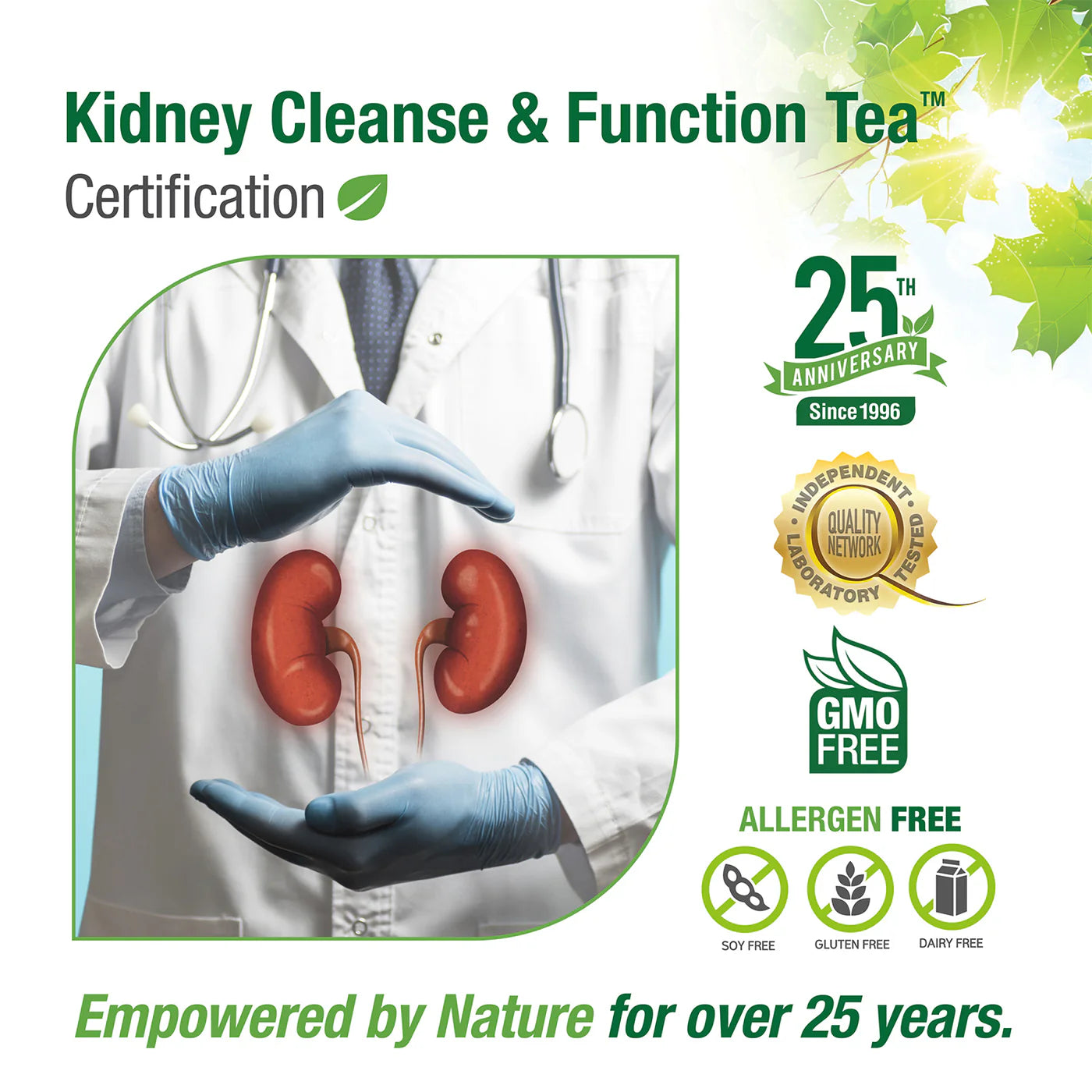 Bell Lifestyle Products #76 Kidney Cleanse & Function Tea 120g