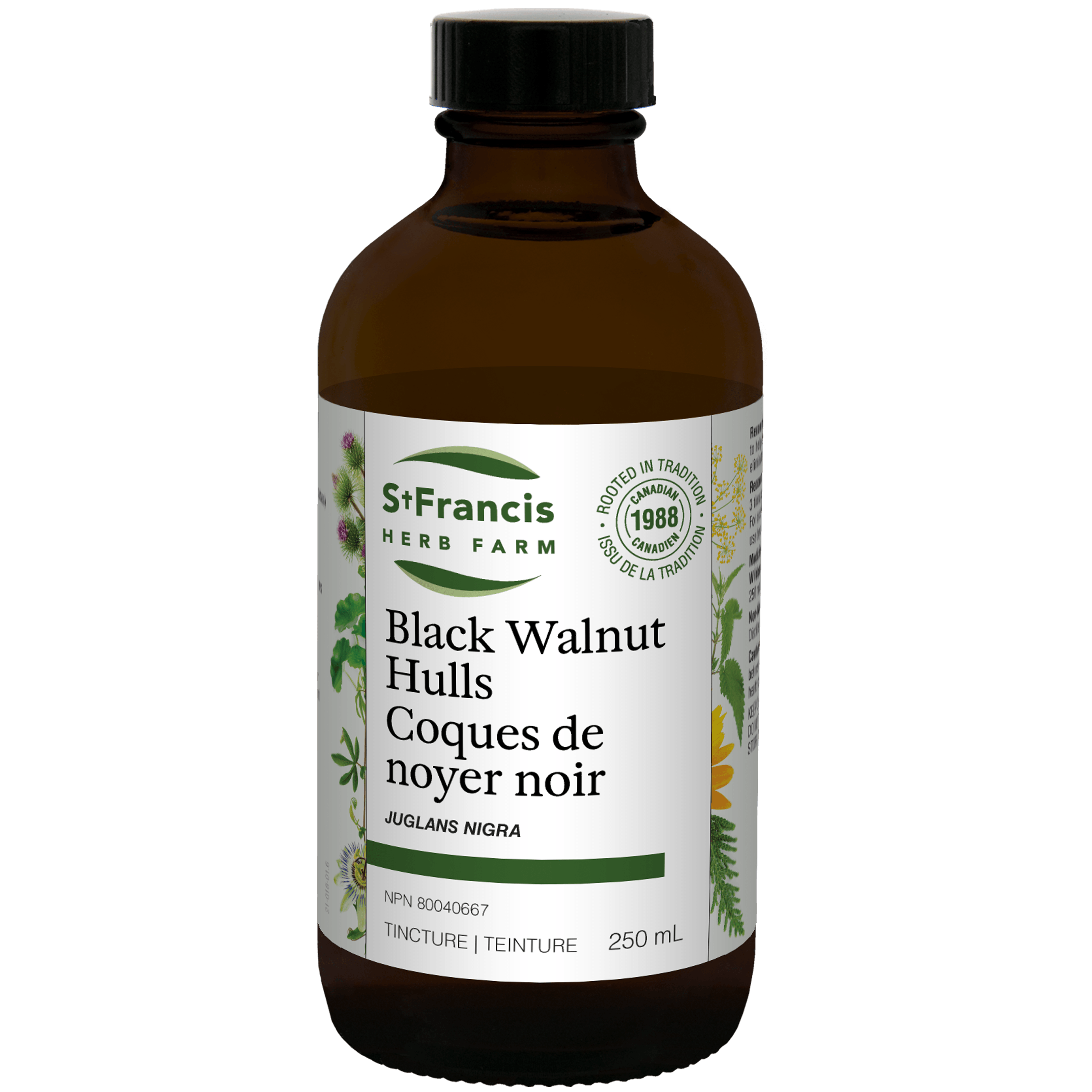 St. Francis Black Walnut Hulls Tincture 250ml