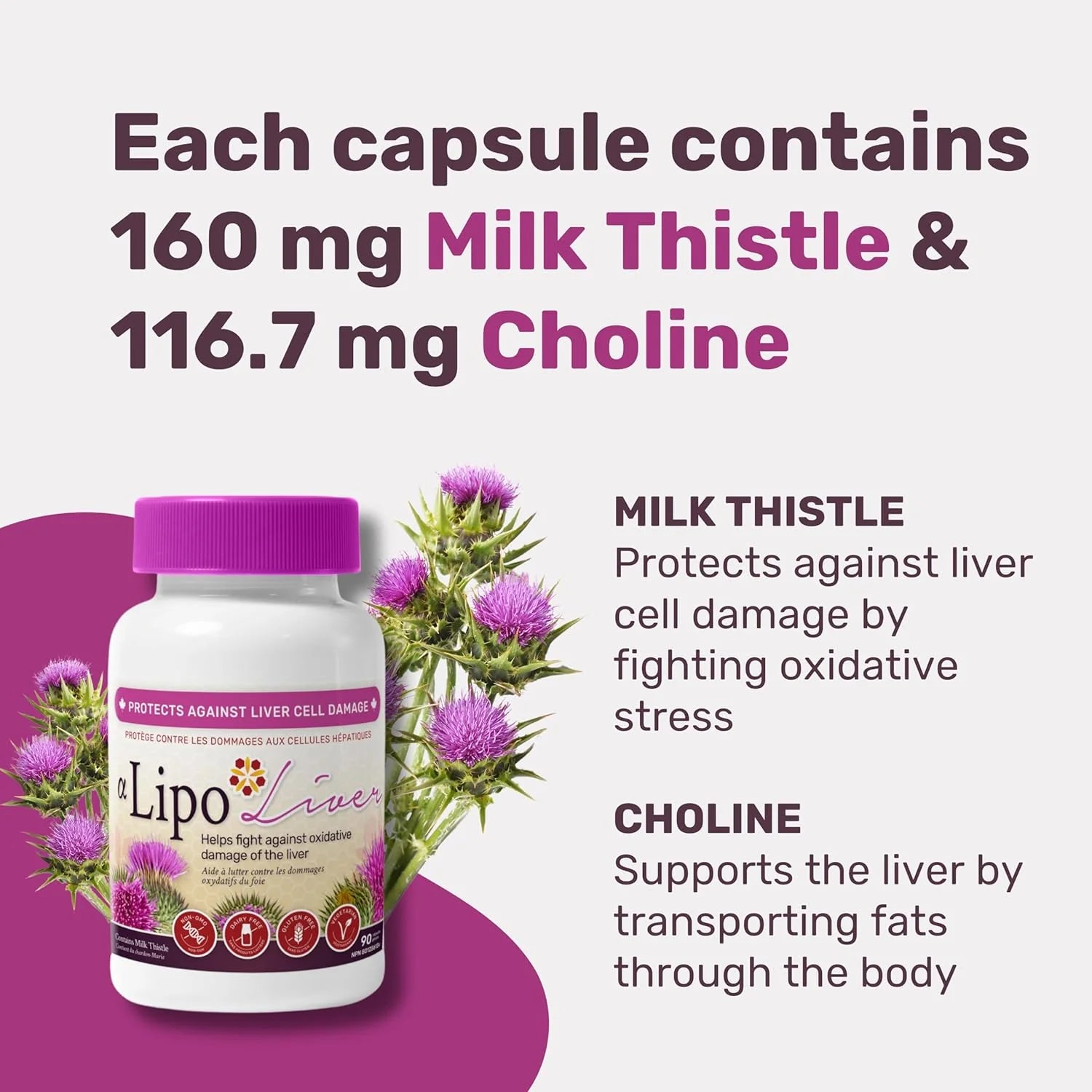 Nanton Alpha-Lipo Liver 90 Capsules