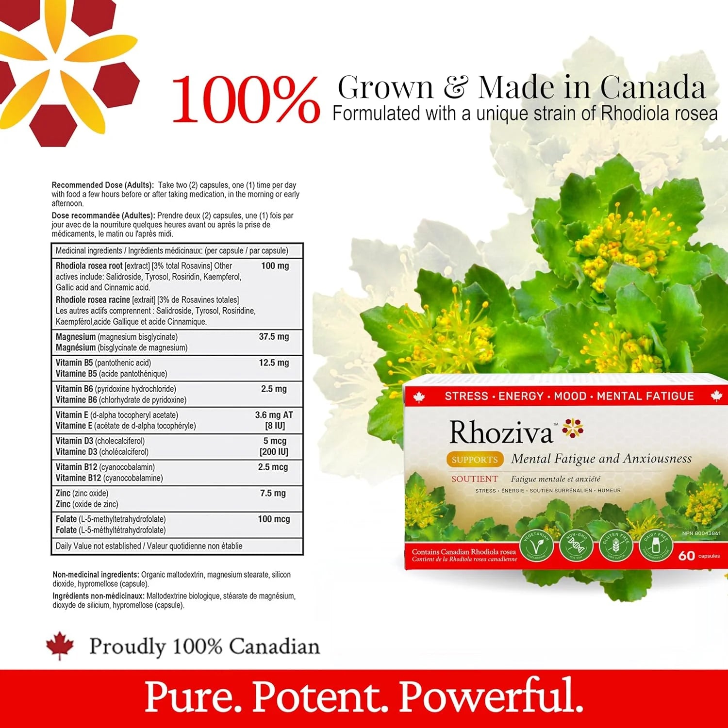 Nanton Rhoziva 100mg  120 Capsules