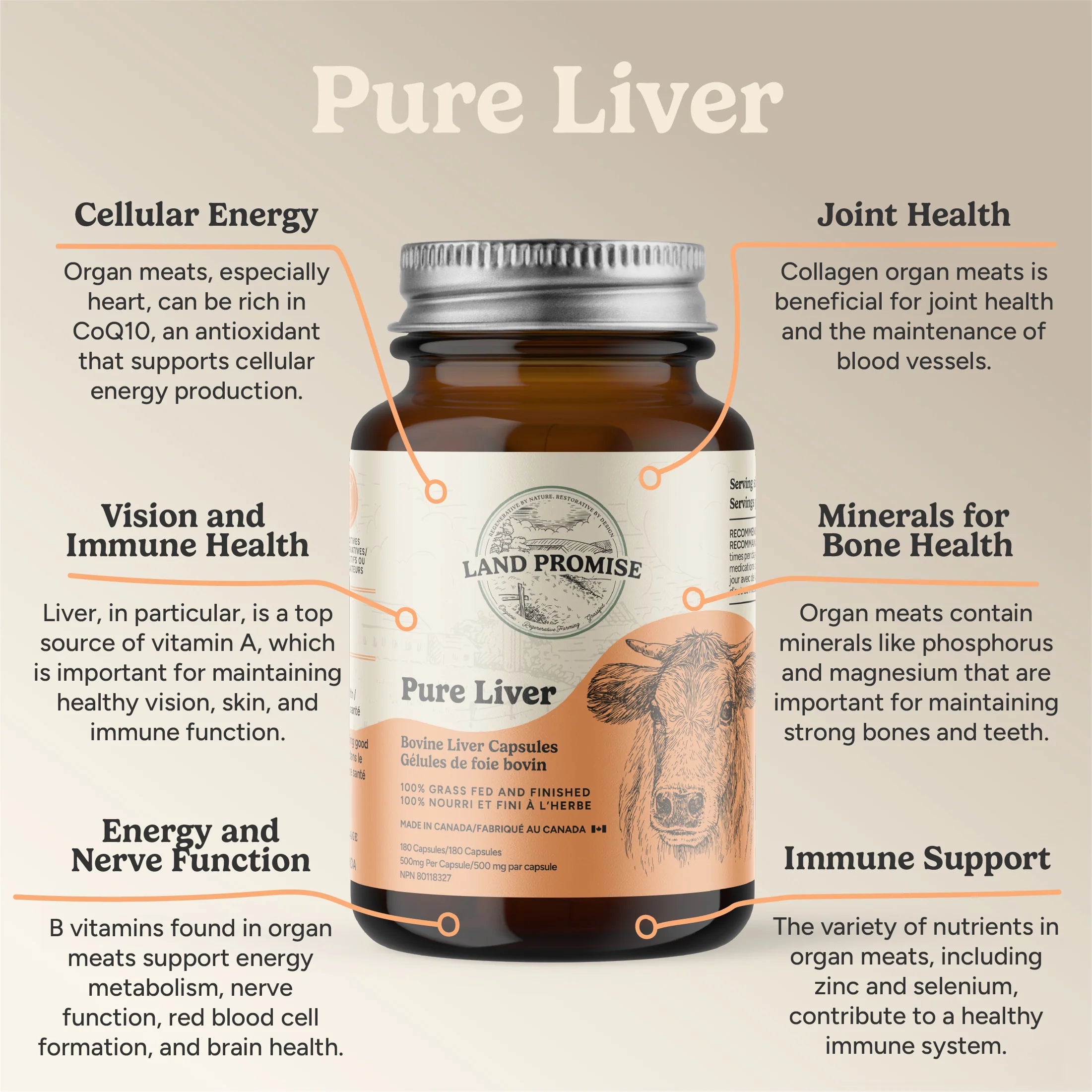 Land Promise Liver 500mg 180 Capsules