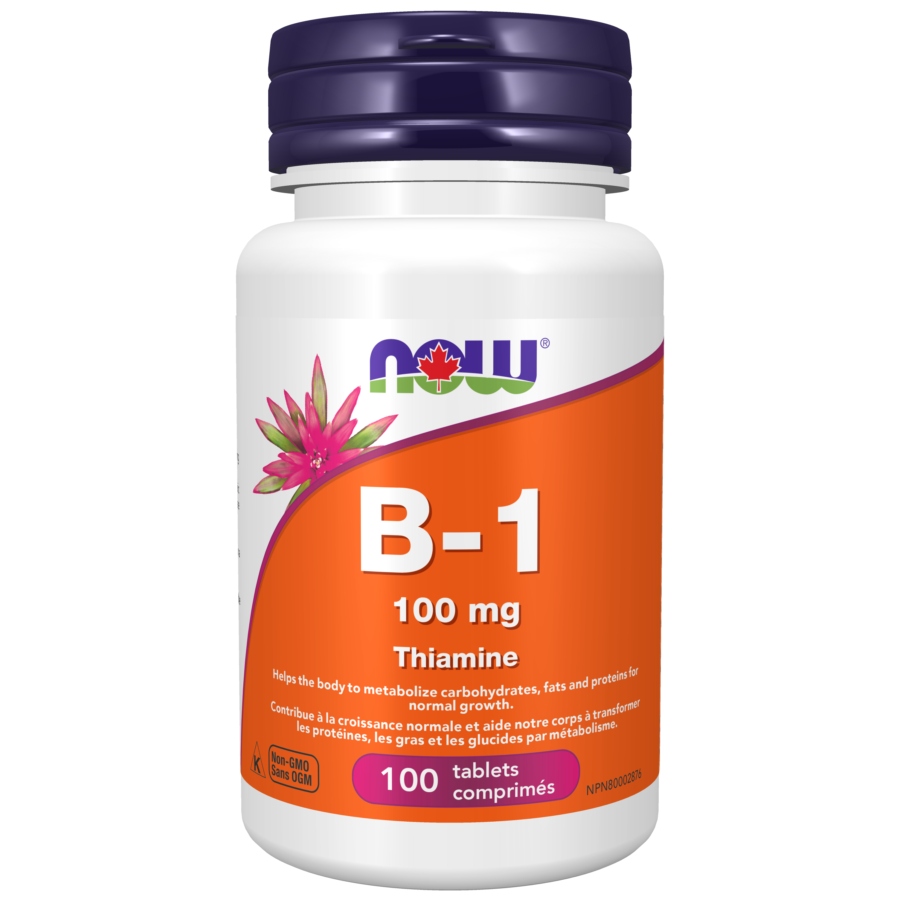 NOW Vitamin B-1 100mg 100 Tablets