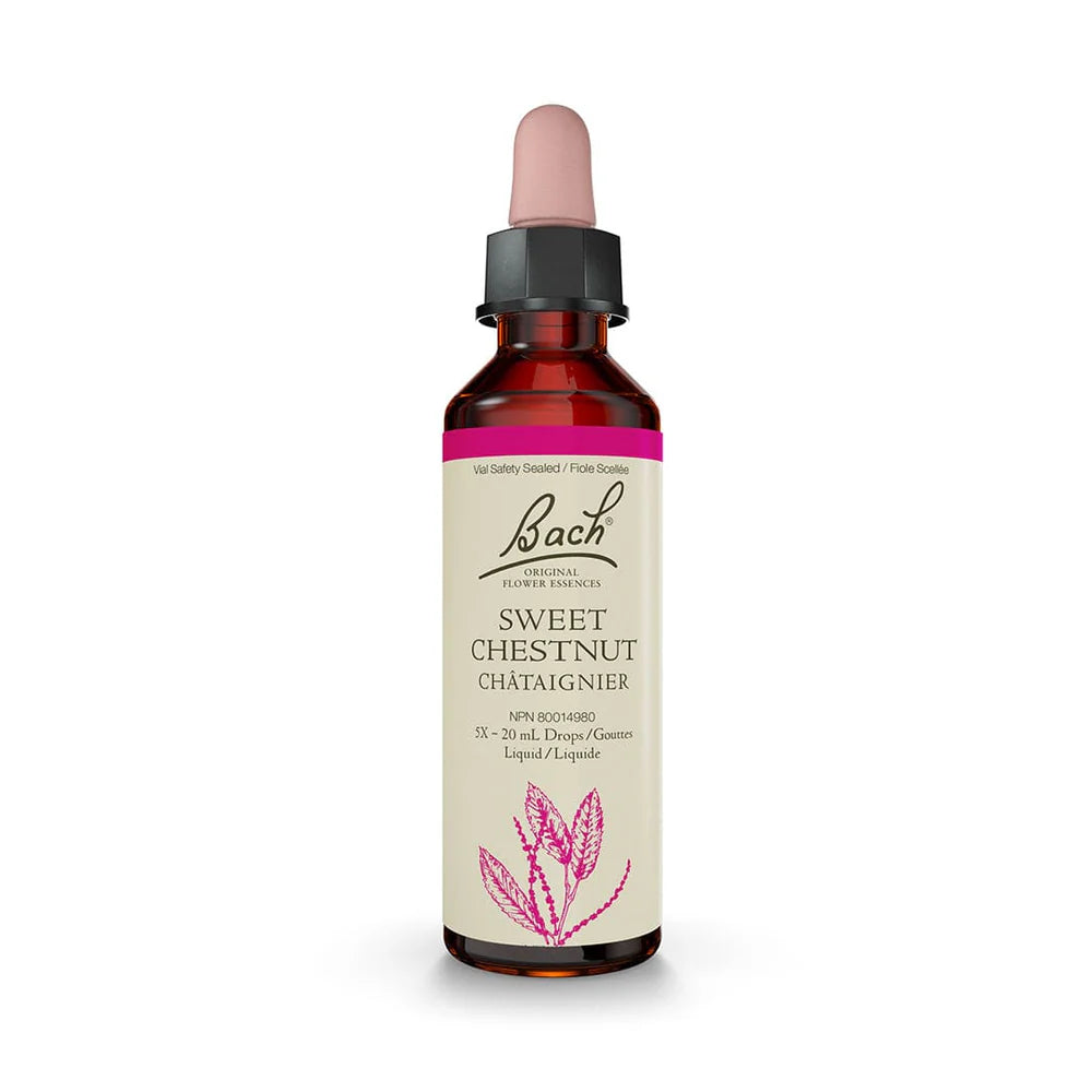 Bach Original Flower Remedy Sweet Chestnut 20ml