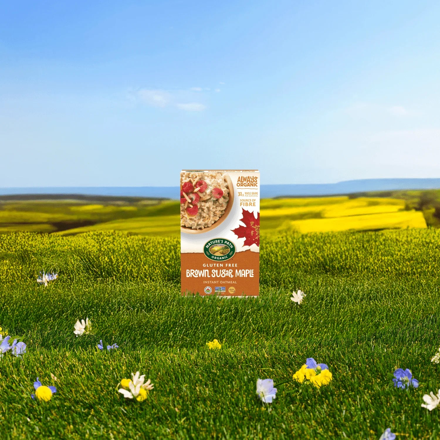 Nature's Path Organic Brown Sugar Maple Instant Hot Oatmeal 8 Packets 400g