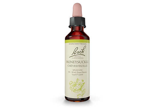 Bach Original Flower Remedy Honeysuckle 20ml