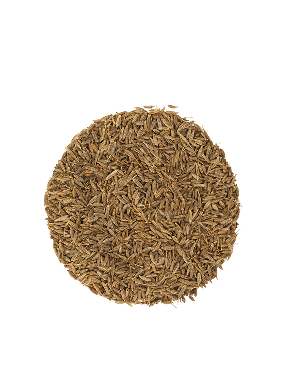 Celebration Herbals Caraway Seed Whole Organic 50g