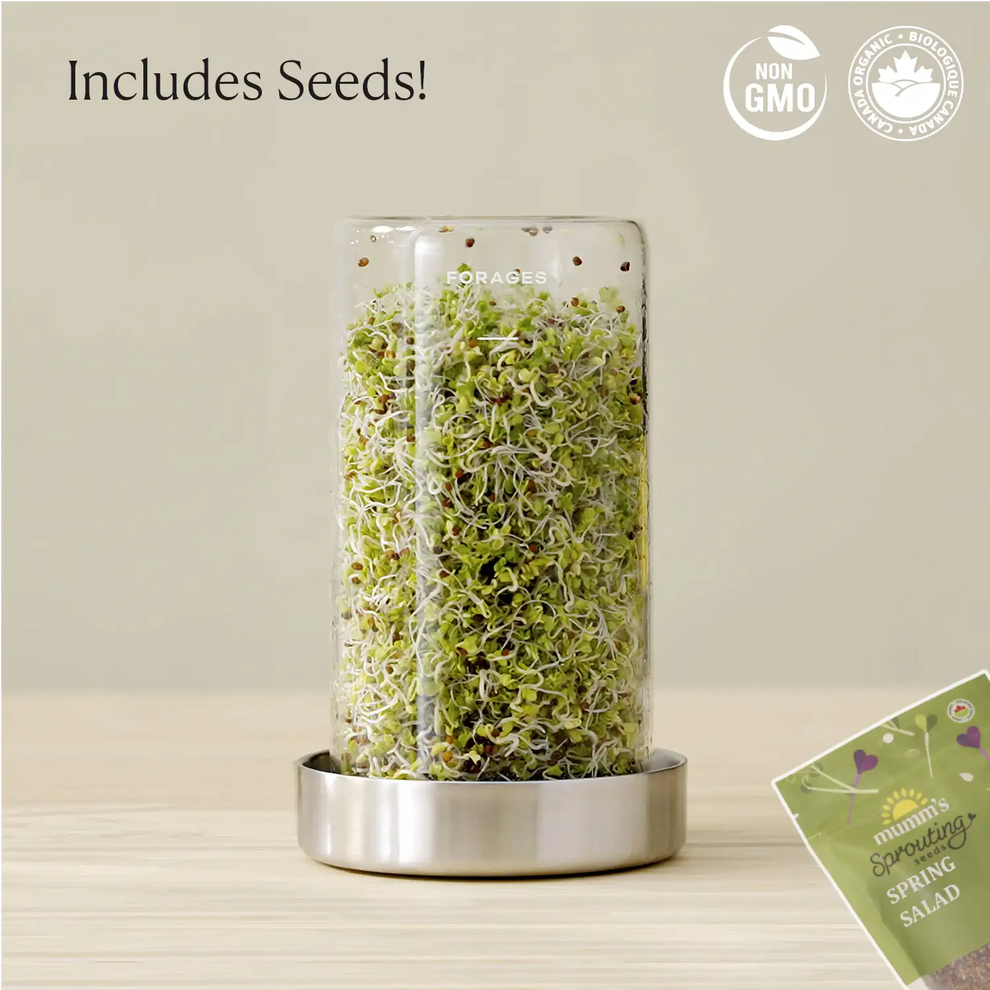 Forages Sprouting Jar Kit