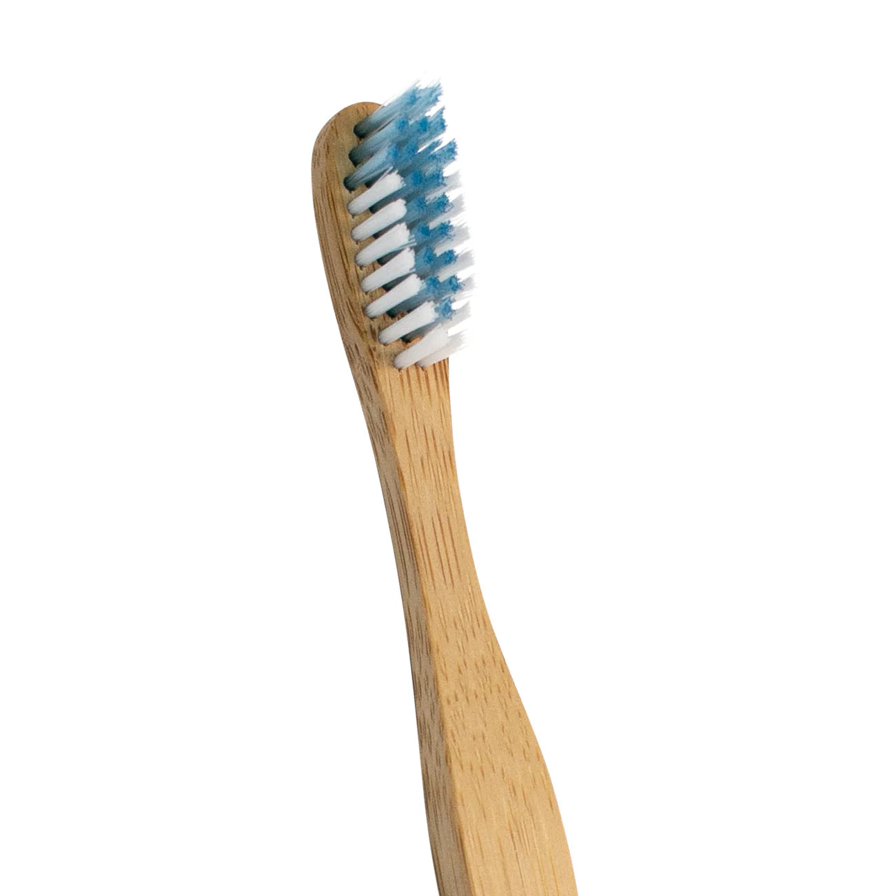 The Future is Bamboo Toothbrush Adult Soft