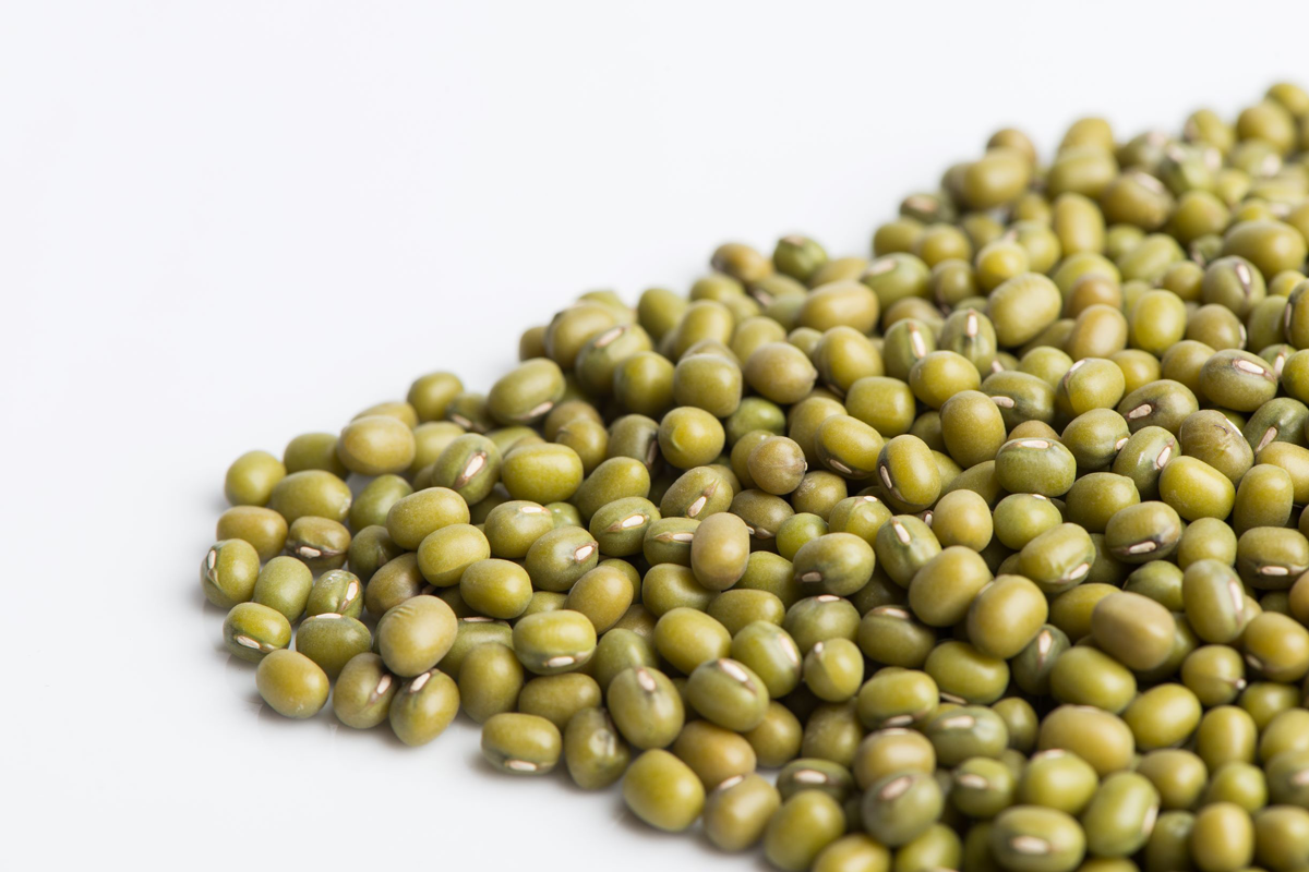 Mumm's Organic Mung Beans Sprouting Seeds /10g
