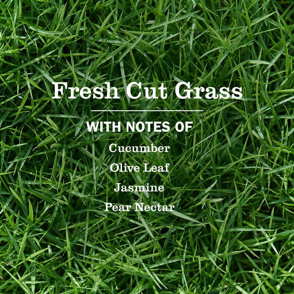 Mrs. Meyer's Fresh Cut Grass Liquid Dish Soap 473ml