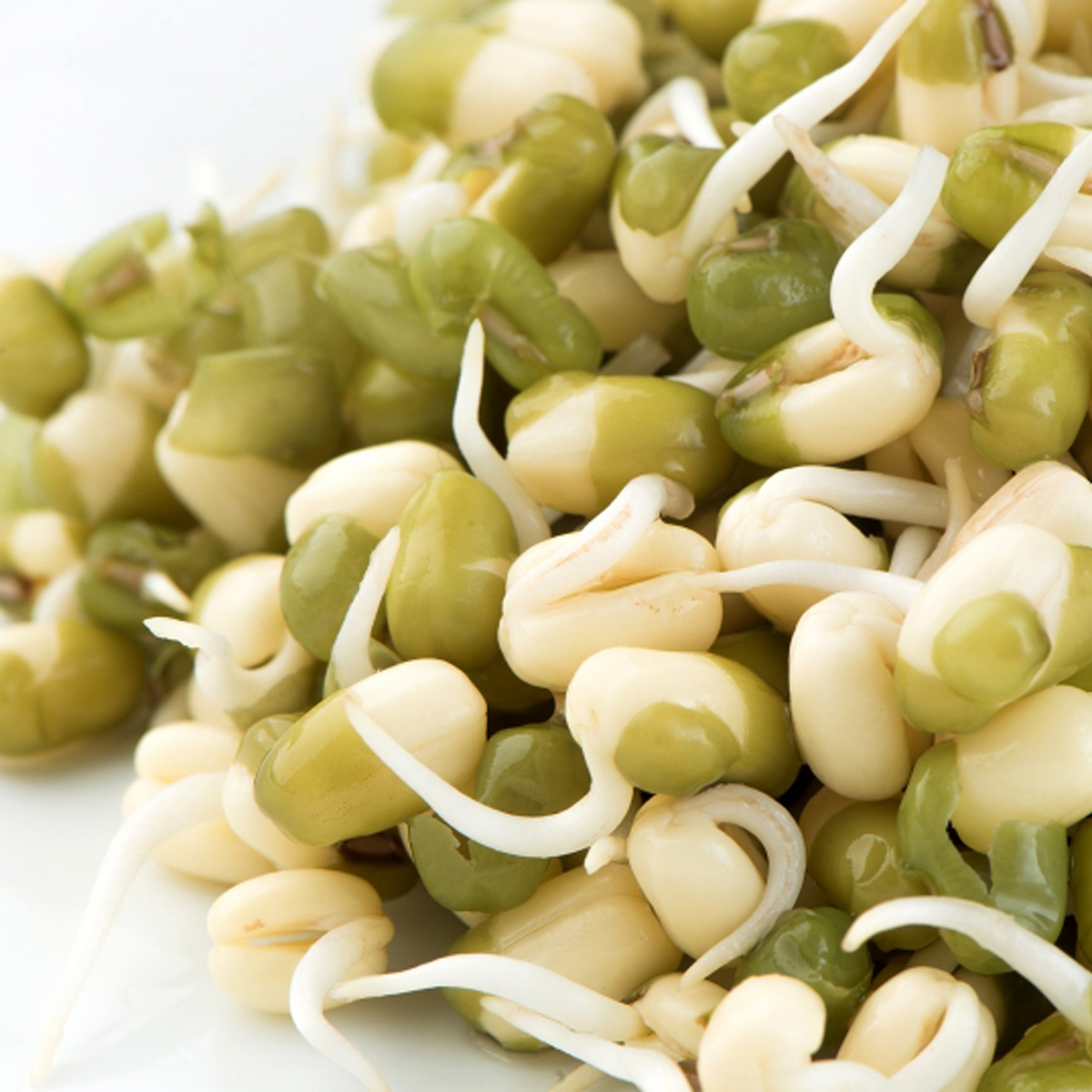Mumm's Organic Mung Beans Sprouting Seeds /10g