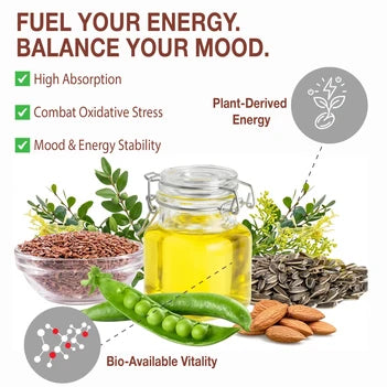 Nanton Benfotiamine B1 90 Vegetarian Capsules