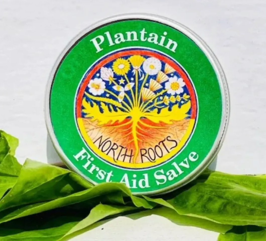 North Roots Herbal PlantainFirst Aid Salve 30ml