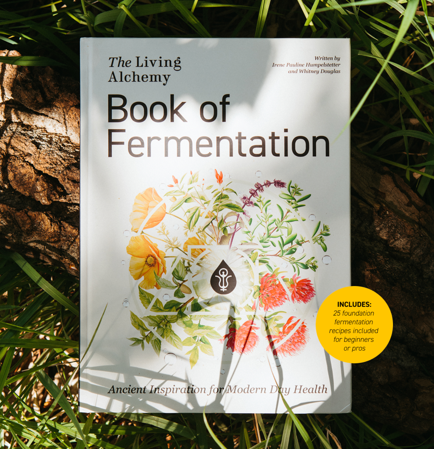 Living Alchemy Book of Fermentation