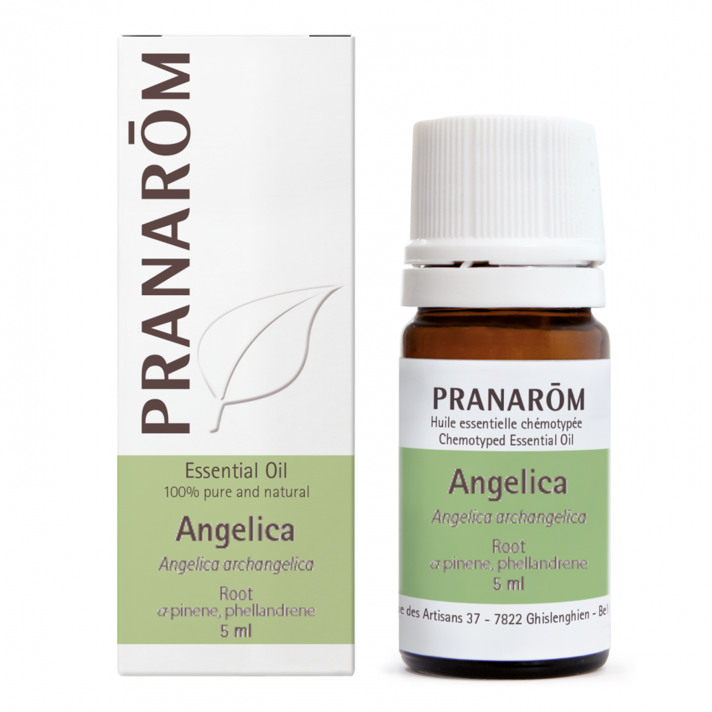 Pranarom 1--% Pure Chemotyped Angelica Essential Oil 5ml