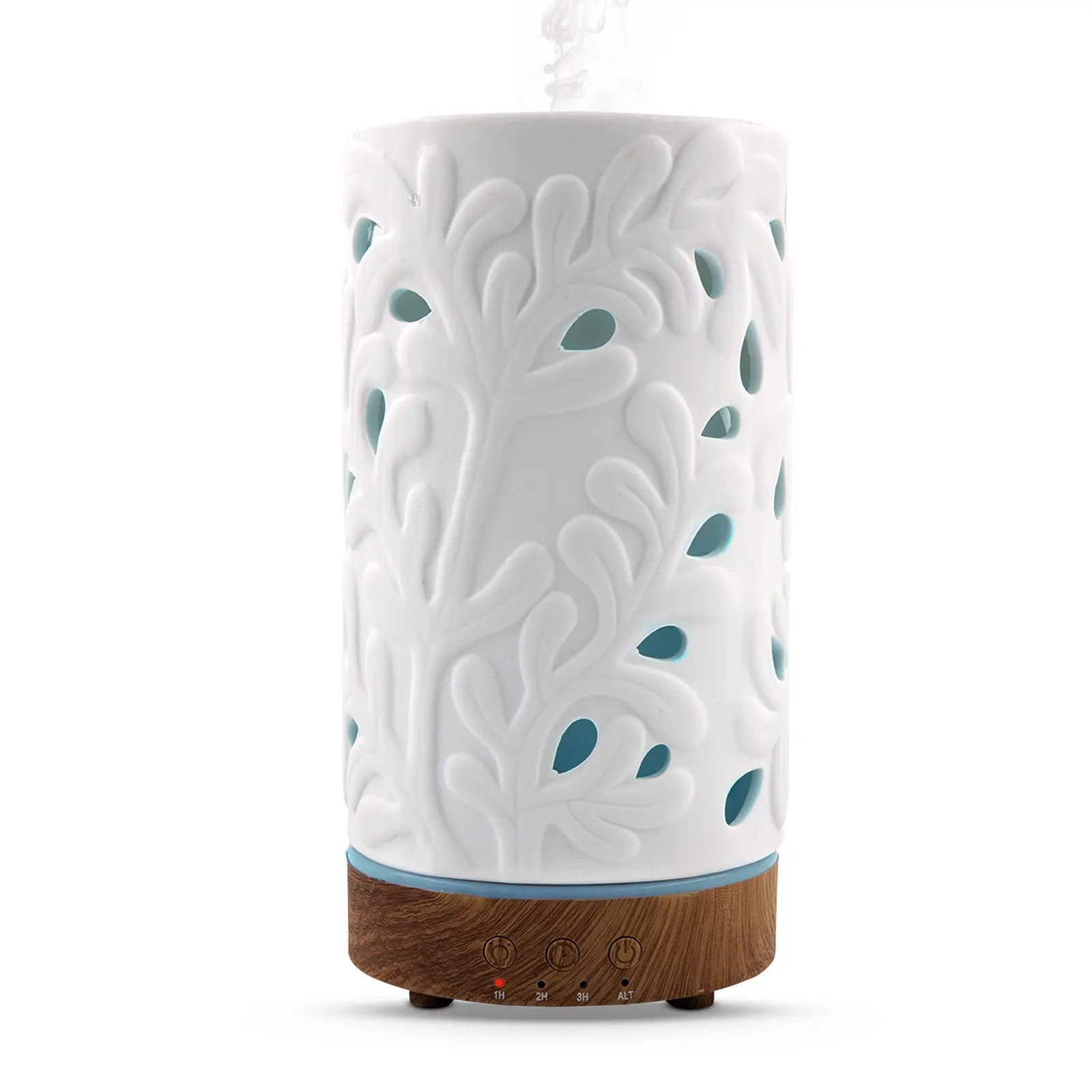 NOW Ceramic Stone USB Essential Oil Diffuser