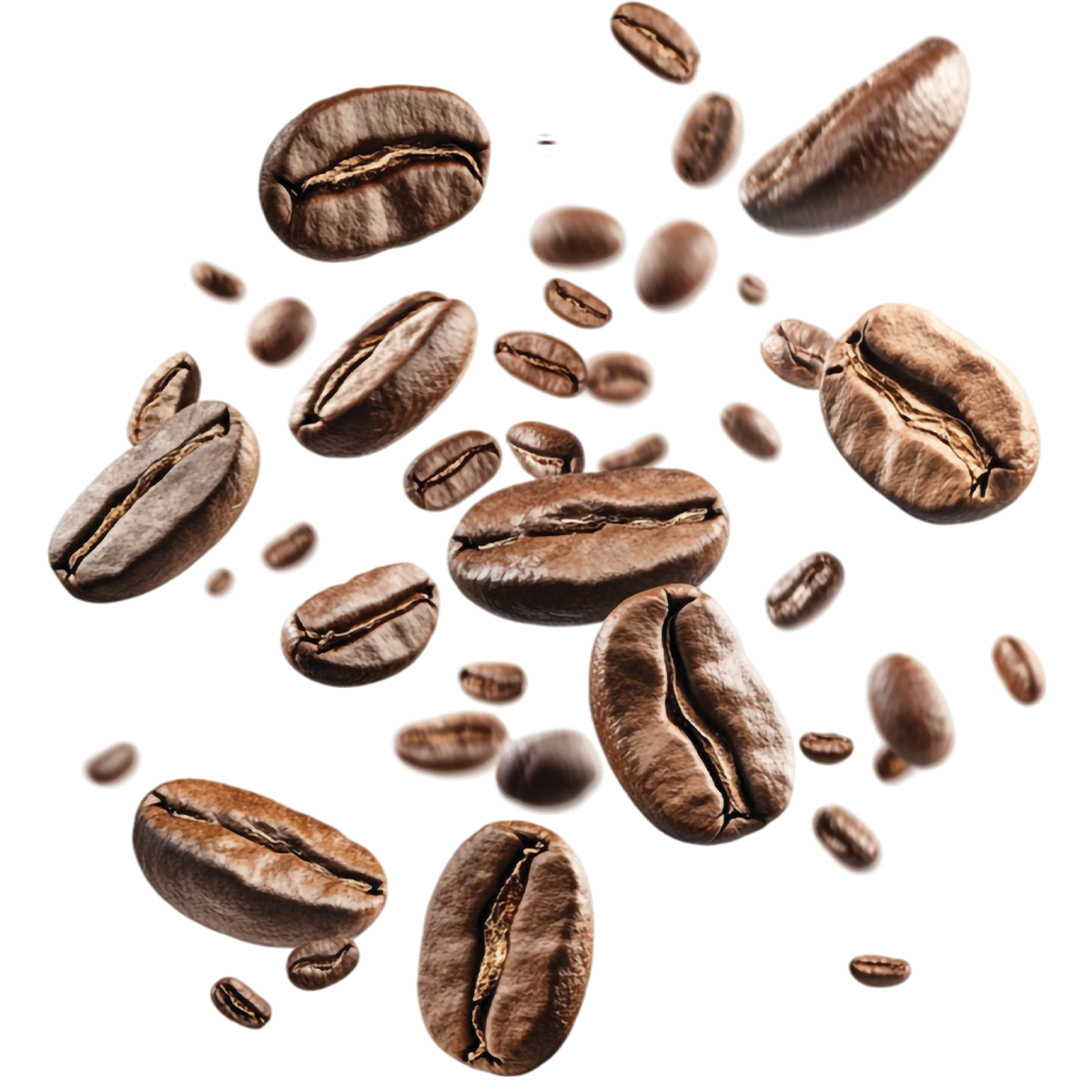 Pat's Beans 5lbs Whole Dark Sunrise (Inside U Blend)