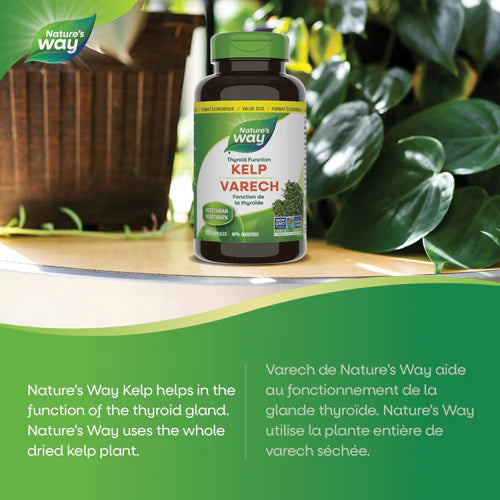 Nature's Way Kelp 180 Capsules