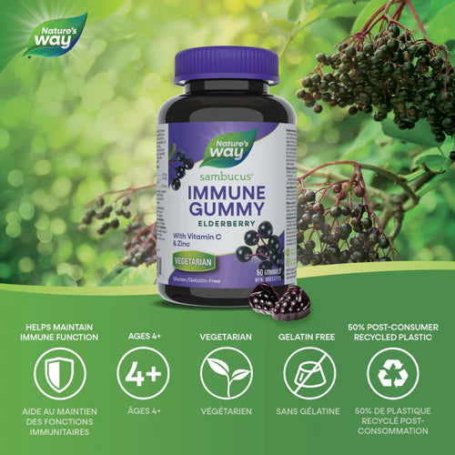 Nature's Way Sambucus Elderberry Immune Gummy 60 Gummies