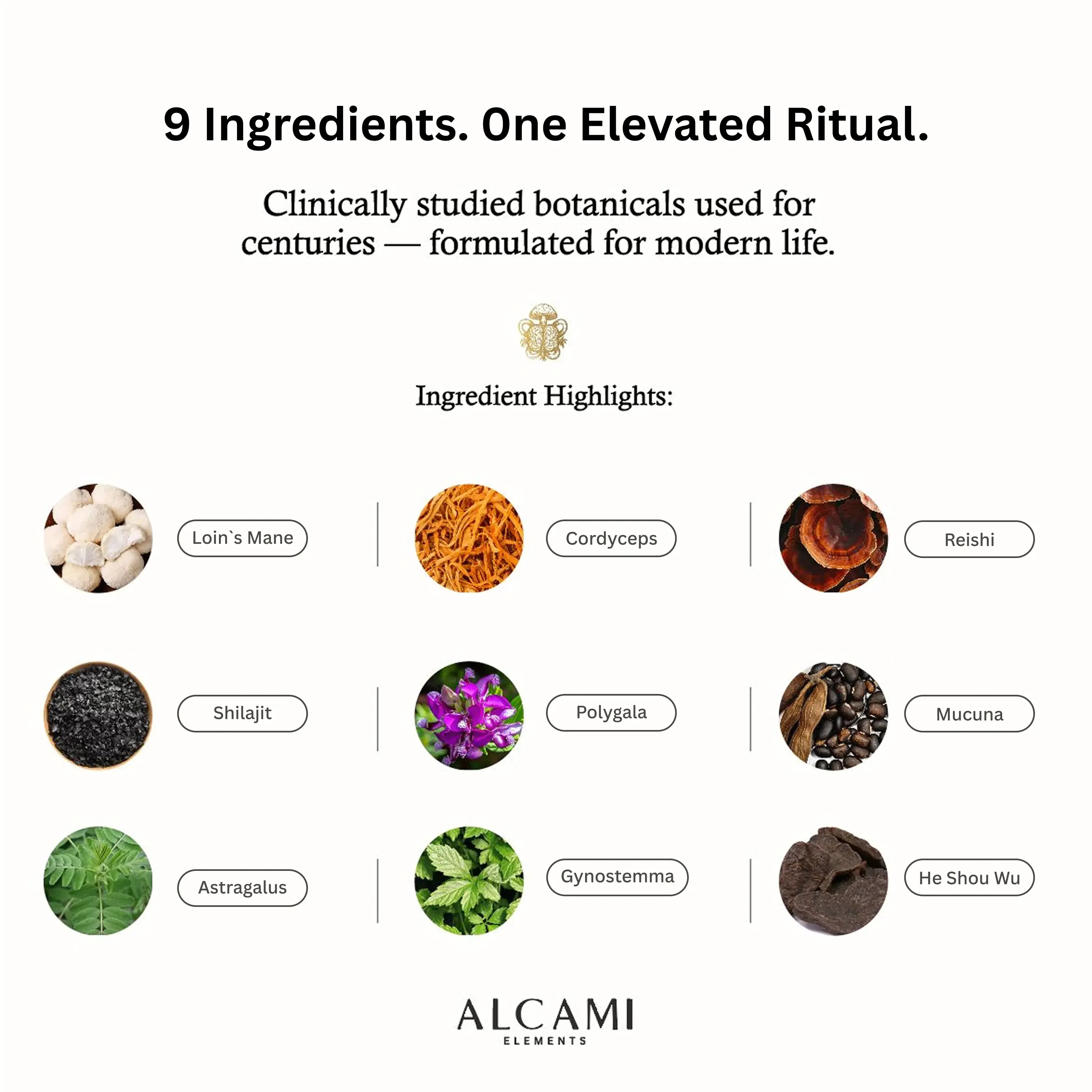 Alcami Elements Creamy Original Life Enhancing Blend 30 Servings 180g
