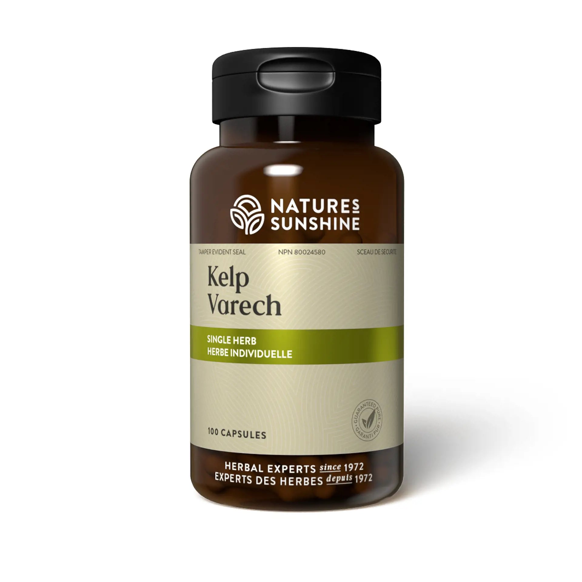 Nature's Sunshine Kelp 100 Capsules