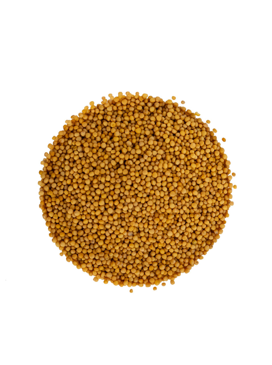 Celebration Herbals Organic Mustard Seed Whole 75g