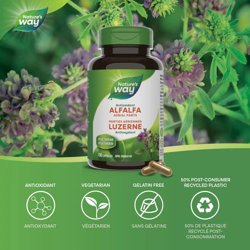 Nature's Way Alfalfa 405mg 100 Vegetarian Capsules