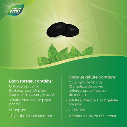 Nature’s Way Chlorofresh 90 Softgels