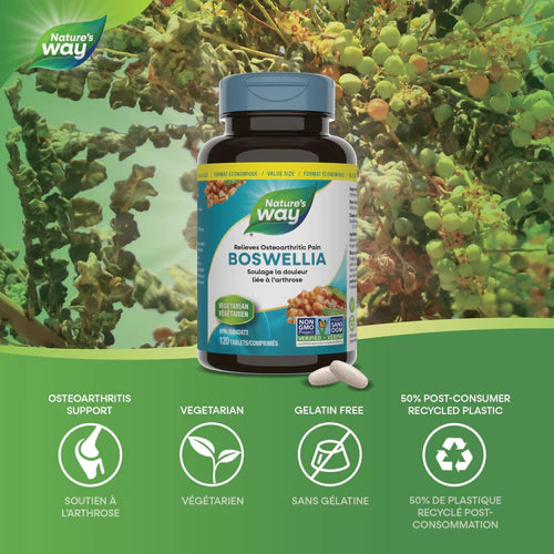 Nature's Way Standardized Boswellia 120 Tablets