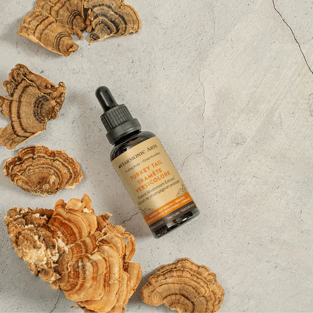 Harmonic Arts Turkey Tail Mushroom Extract Tincture 100ml