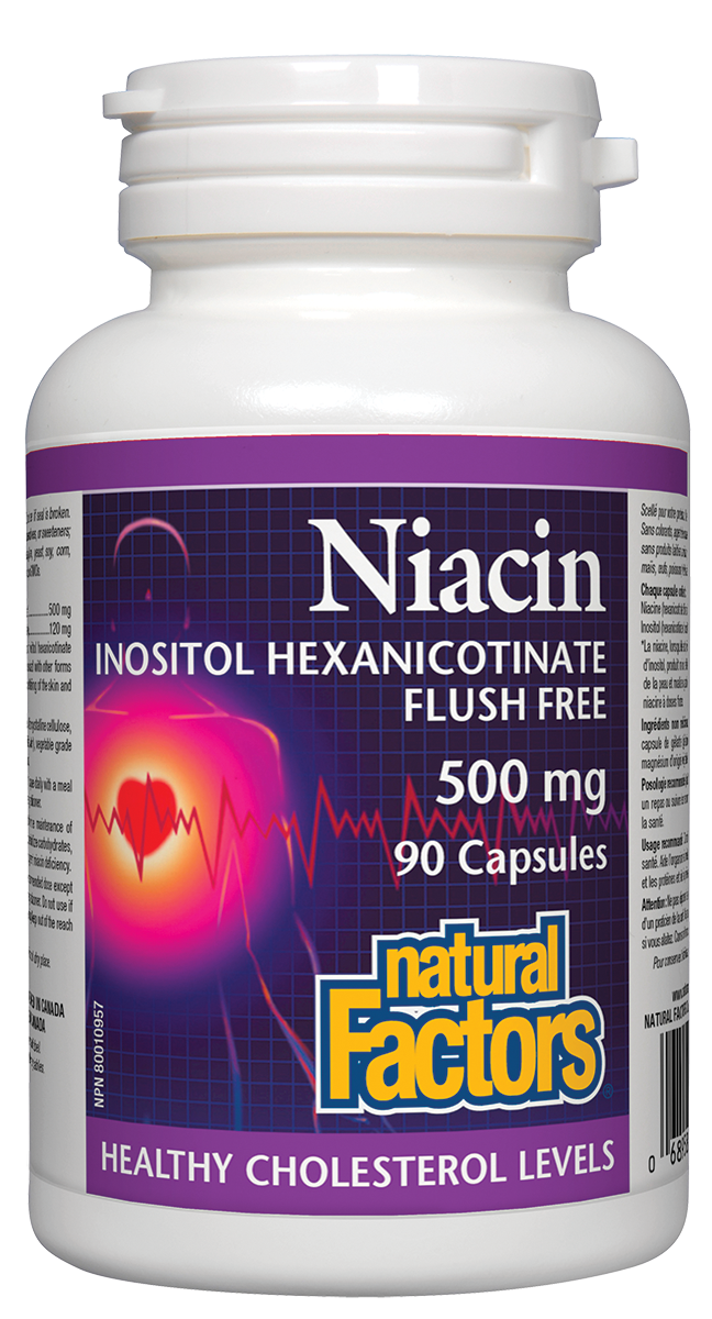 Natural Factors Niacin Flush Free 500mg 90 Capsules