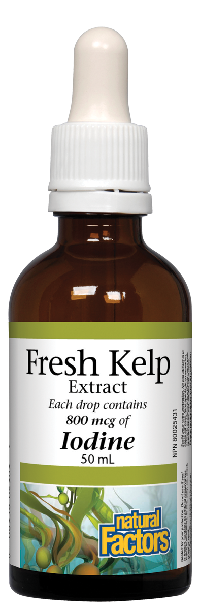 Natural Factors Fresh Kelp Extract Iodine Liquid 50ml