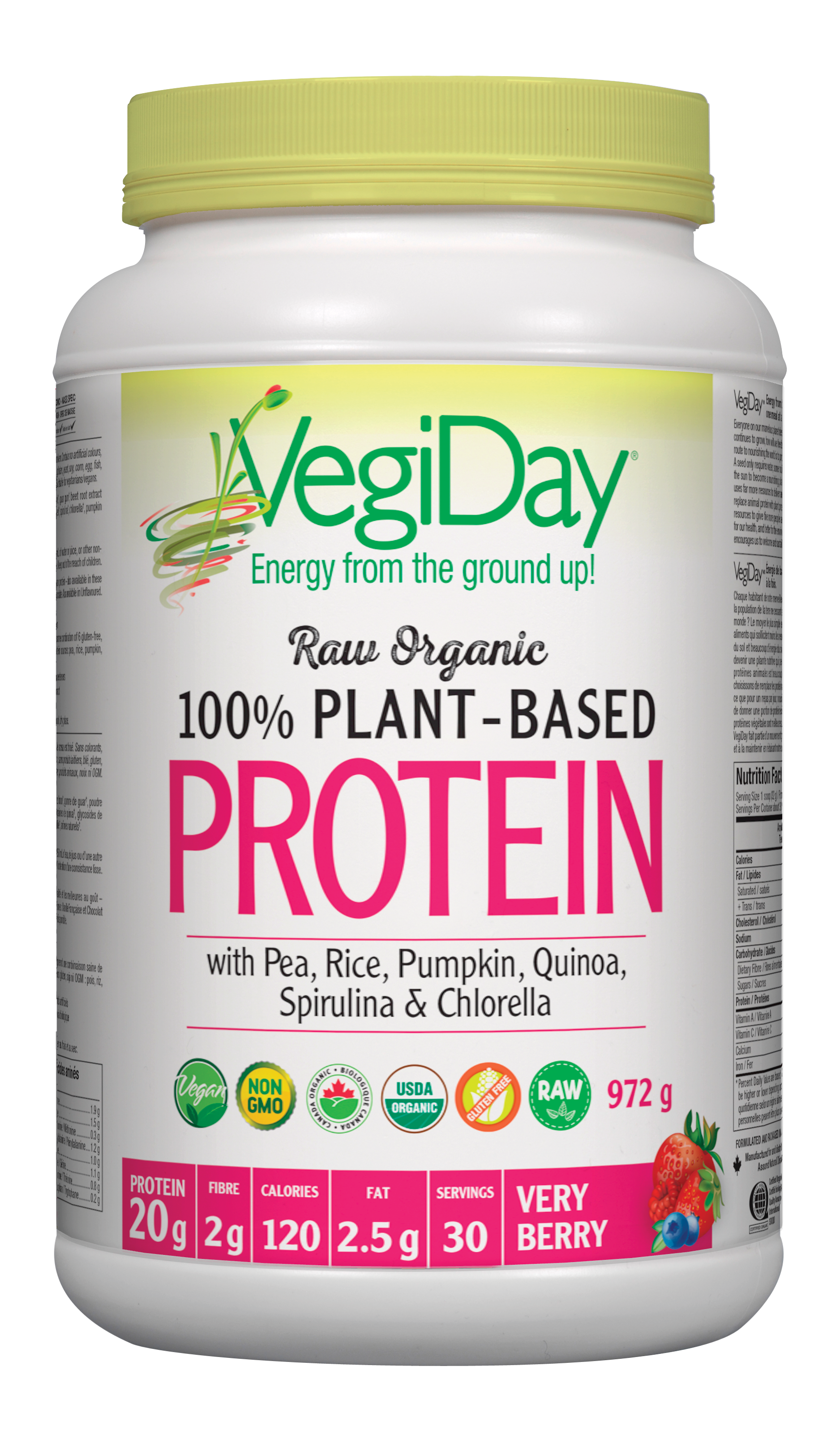 VegiDay Raw Organic Plant Protein Berry 972g