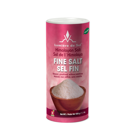 Himalayan Salt Shaker - Fine Salt 500g