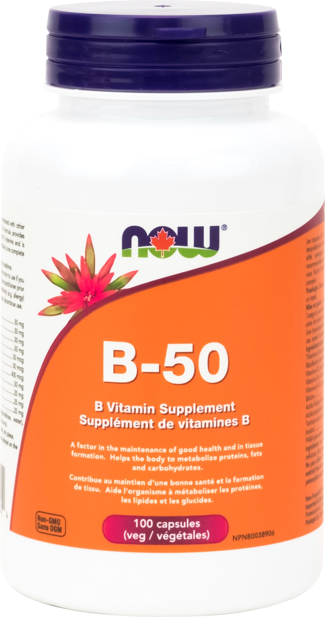 Now Vitamin B-50 100 Vegetarian Capsules