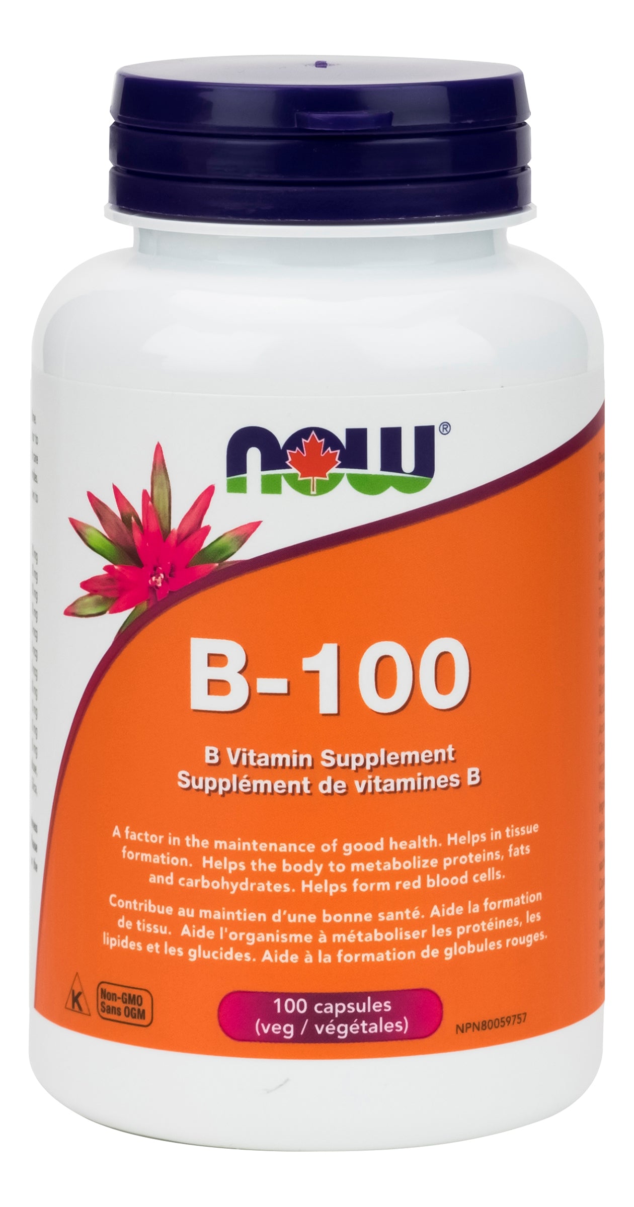 Now Vitamin B-100 100 Vegetarian Capsules