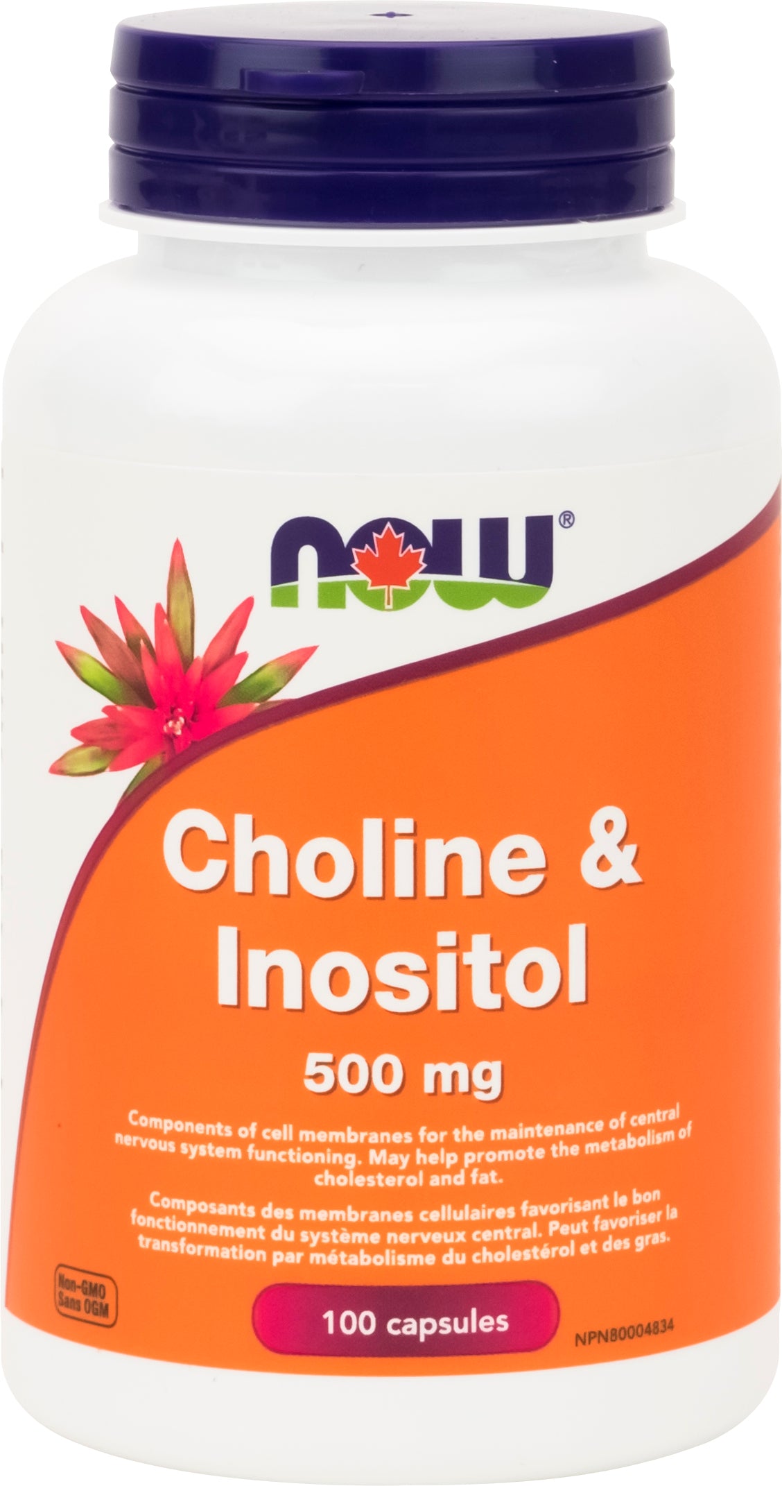 Now Choline & Inositol 500mg 100 Capsules