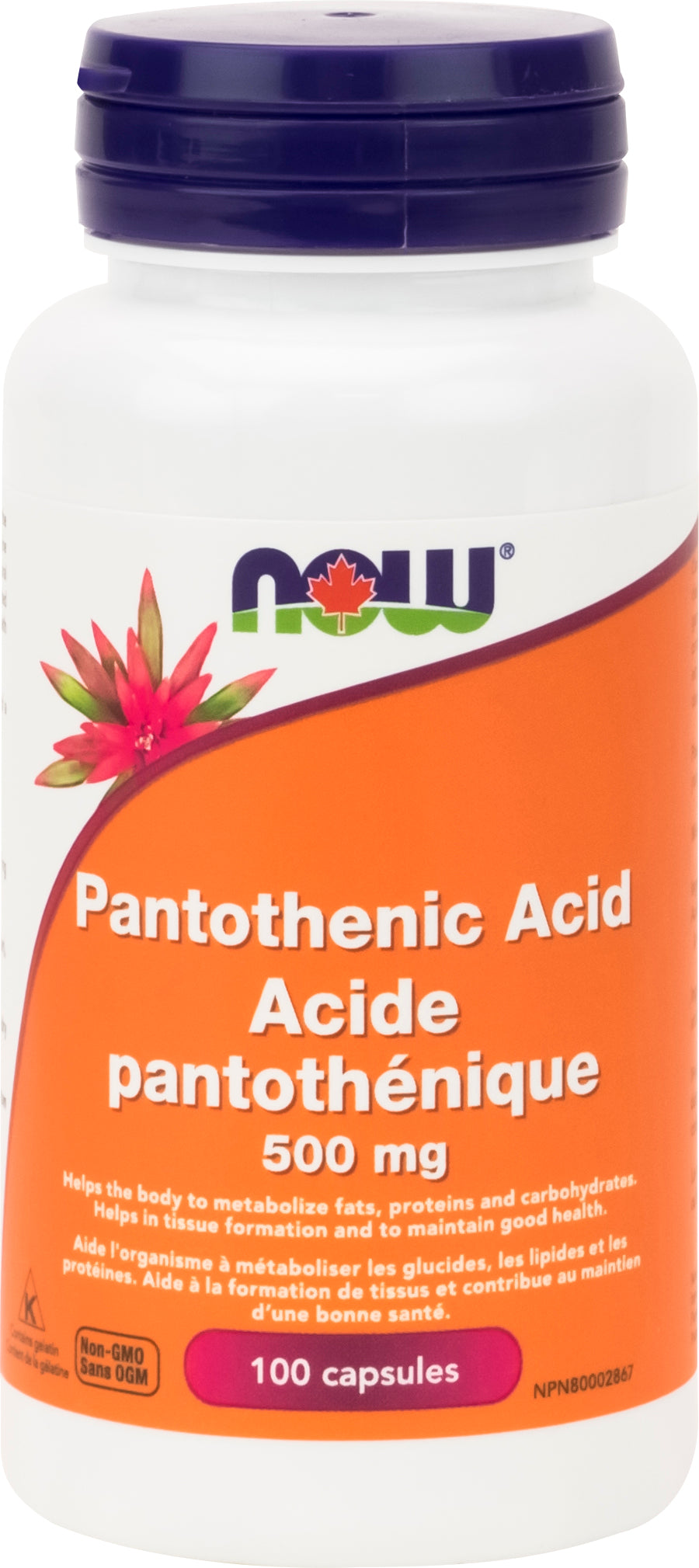 NOW Pantothenic Acid 500mg 100 Capsules