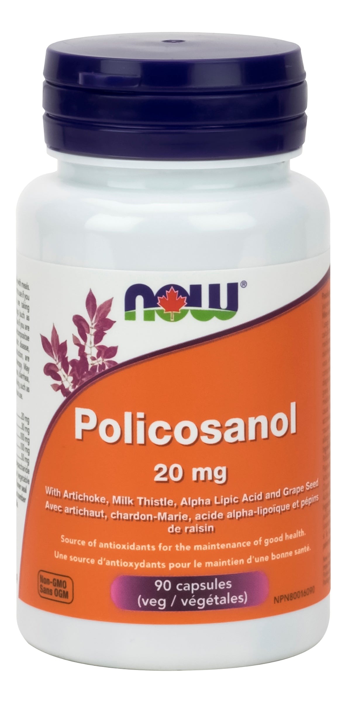 NOW Policosanol 20mg + ALA & Artichoke 90 Vegetarian Capsules