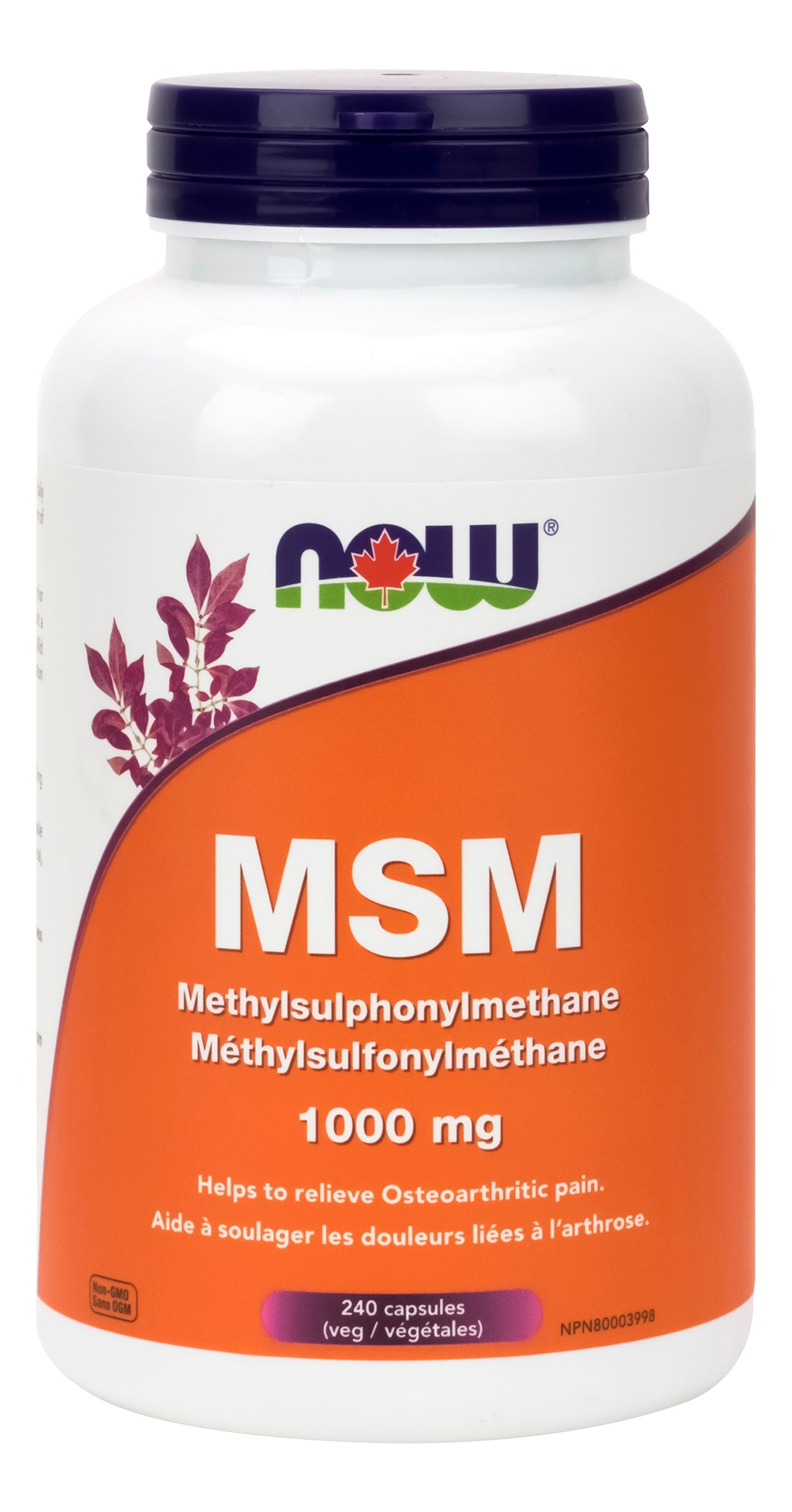 NOW MSM 1000mg 240 Capsules