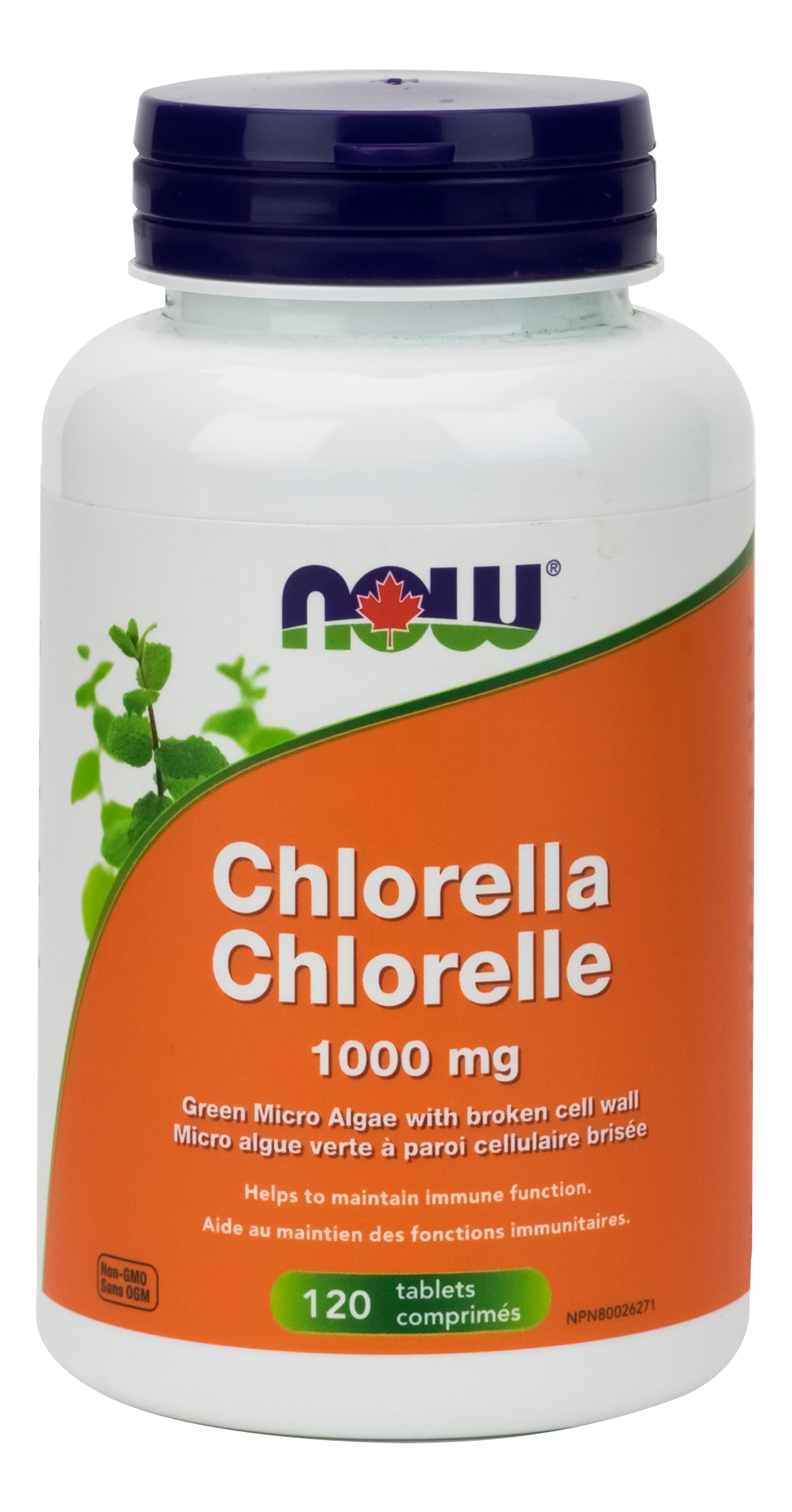 NOW Chlorella 1000mg 120 Tablets